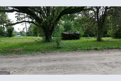 .75 Acre Butler Street, Bainbridge, GA 39817 - Photo 7