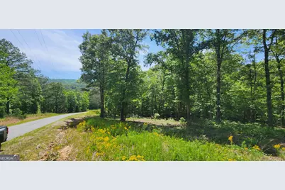 Lt 90 Barrel Knot Court, Ellijay, GA 30536 - Photo 1