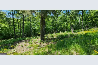 Lt 90 Barrel Knot Court, Ellijay, GA 30536 - Photo 7