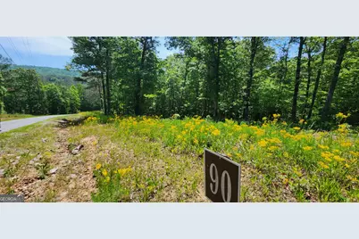 Lt 90 Barrel Knot Court, Ellijay, GA 30536 - Photo 5
