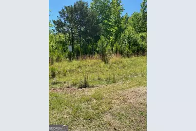 1730 N Walkers Mill Road, Griffin, GA 30223 - Photo 3