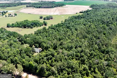 2116 Dot Harvey Road, Jakin, GA 39861 - Photo 35