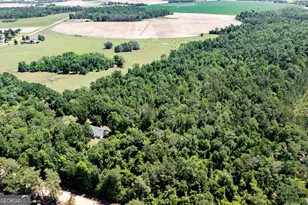 2116 Dot Harvey Rd, Jakin, GA 39861 - Photo 35