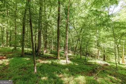 145 Pendleton Drive, Athens, GA 30606 - Photo 49