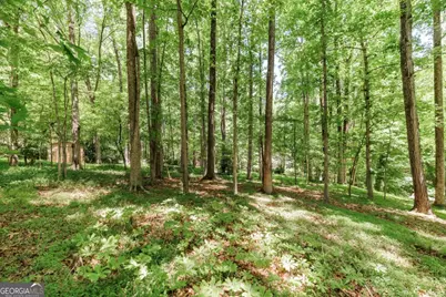 145 Pendleton Drive, Athens, GA 30606 - Photo 47