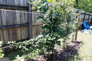 211 N Broad St, Buena Vista, GA 31803 - Photo 67