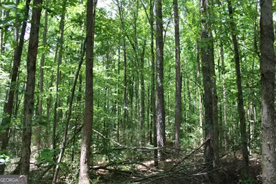 1 Neese Commerce Road, Commerce, GA 30529 - Photo 5