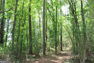 1 Neese Commerce Road, Commerce, GA 30529 - Photo 3