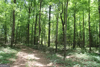 1 Neese Commerce Road, Commerce, GA 30529 - Photo 9