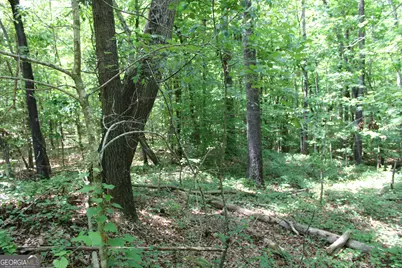 1 Neese Commerce Road, Commerce, GA 30529 - Photo 7
