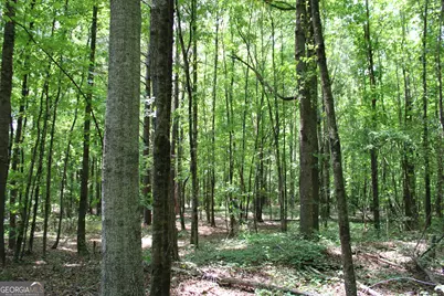 1 Neese Commerce Road, Commerce, GA 30529 - Photo 11