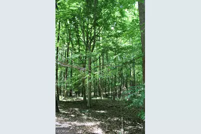 1 Neese Commerce Road, Commerce, GA 30529 - Photo 13