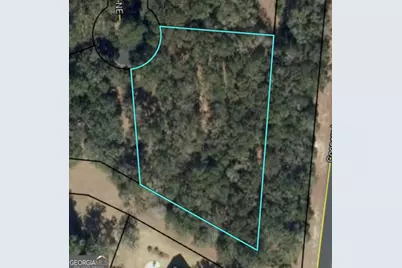 0 Blakberry Lane NE, Townsend, GA 31331 - Photo 1