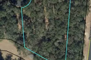 0 Blakberry Ln NE, Townsend, GA 31331 - Photo 1
