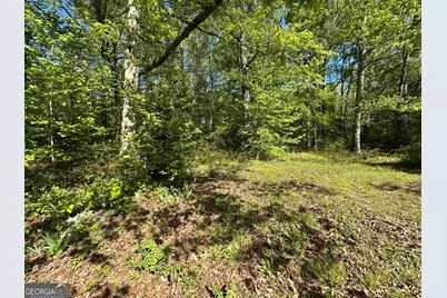 885 Turner Bridge Road, Meansville, GA 30256 - Photo 27