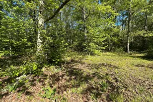885 Turner Bridge Rd, Meansville, GA 30256 - Photo 27