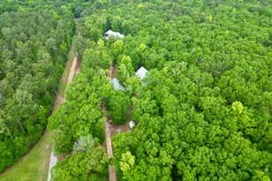 337 Stanley Cemetery Rd, Dublin, GA 31021 - Photo 11