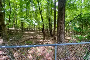 1130 Darlington Station Rd, Bogart, GA 30622 - Photo 59