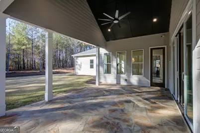 250 Bob Smith Road, Sharpsburg, GA 30277 - Photo 63