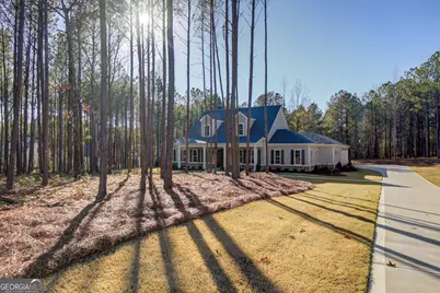 250 Bob Smith Road, Sharpsburg, GA 30277 - Photo 67