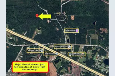 0 Old Mans Beard Road, Brunswick, GA 31523 - Photo 5
