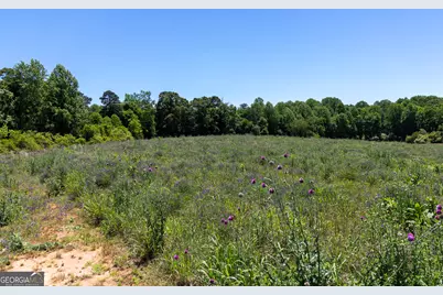 3600 Pea Ridge Road, Cornelia, GA 30531 - Photo 11