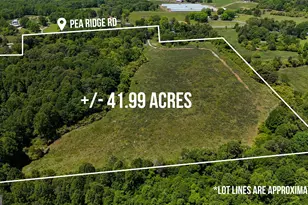3600 Pea Ridge Rd, Cornelia, GA 30531 - Photo 1