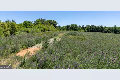 3600 Pea Ridge Road, Cornelia, GA 30531 - Photo 7