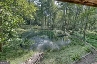 136 Honeybell Ln, Blairsville, GA 30512 - Photo 65