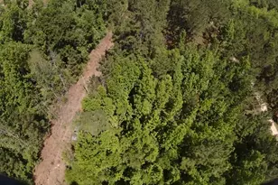0 Windwood Rd, Metter, GA 30439 - Photo 1