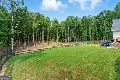 62 Joe Rowell Road, Buchanan, GA 30113 - Photo 51