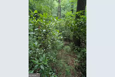 Lot 32 Byers Road, Blairsville, GA 30512 - Photo 5