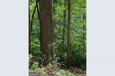Lot 32 Byers Road, Blairsville, GA 30512 - Photo 7