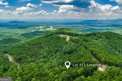 Lot 411 Calloway Mountain Road, Talking Rock, GA 30175 - Photo 3