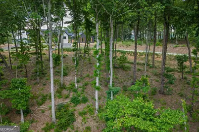Lot 411 Calloway Mountain Road, Talking Rock, GA 30175 - Photo 7