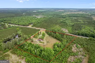 1535 W River Rd, Rhine, GA 31077 - Photo 51