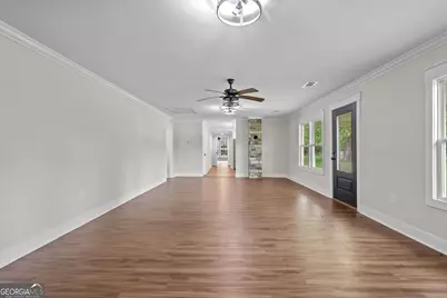 1535 W River Road, Rhine, GA 31077 - Photo 11