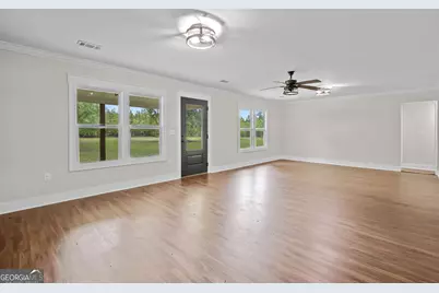 1535 W River Road, Rhine, GA 31077 - Photo 13