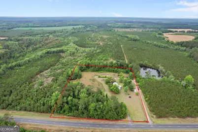 1535 W River Road, Rhine, GA 31077 - Photo 45