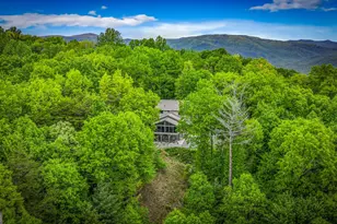 10620 Hwy 52, Chatsworth, GA 30705 - Photo 75