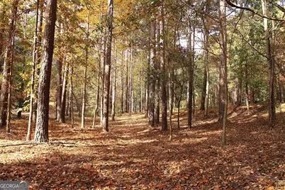 30 Melody Farms Drive, Hartwell, GA 30643 - Photo 5