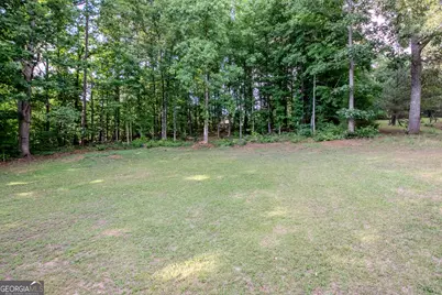 198 Brenda Ellen Drive, Newnan, GA 30265 - Photo 25