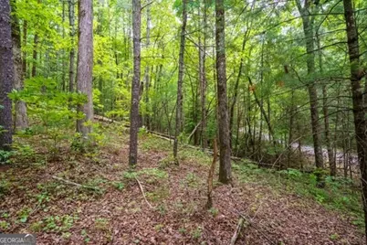 Lt 32 Oceola Drive, Ellijay, GA 30540 - Photo 9