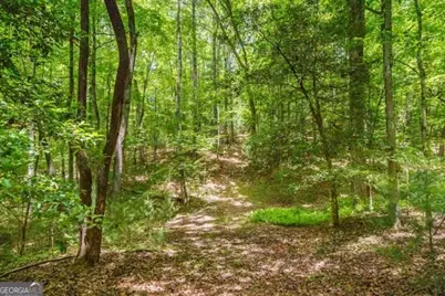 Lt 32 Oceola Drive, Ellijay, GA 30540 - Photo 7