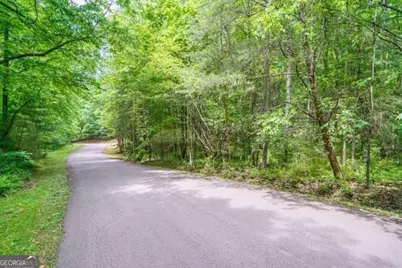 Lt 32 Oceola Drive, Ellijay, GA 30540 - Photo 11