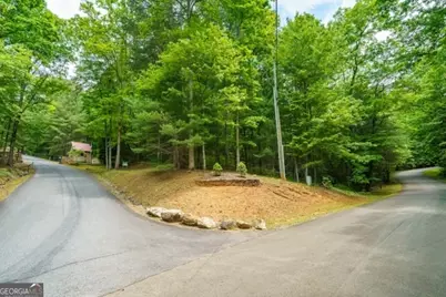 Lt 32 Oceola Drive, Ellijay, GA 30540 - Photo 15
