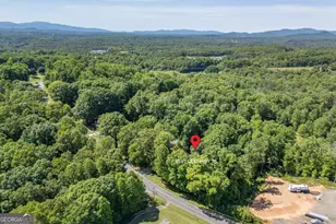 7581 Old Hwy 76, Morganton, GA 30560 - Photo 61