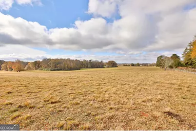 Lot 7 Mask Road - Hanner's Farm South, Brooks, GA 30205 - Photo 19