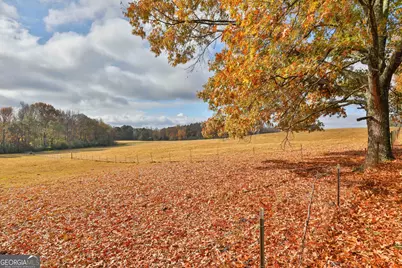 Lot 7 Mask Road - Hanner's Farm South, Brooks, GA 30205 - Photo 9