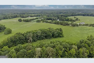 Lot 7 Mask Road - Hanner's Farm South, Brooks, GA 30205 - Photo 23